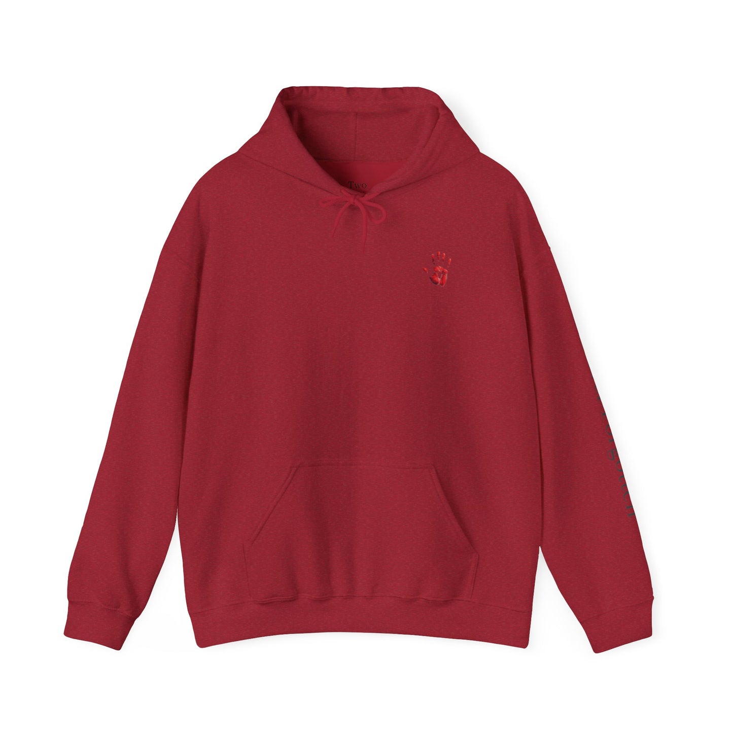 Two Aunties Alaska Raven Tribute Hoodie